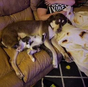 Meet your Posher, Kelly